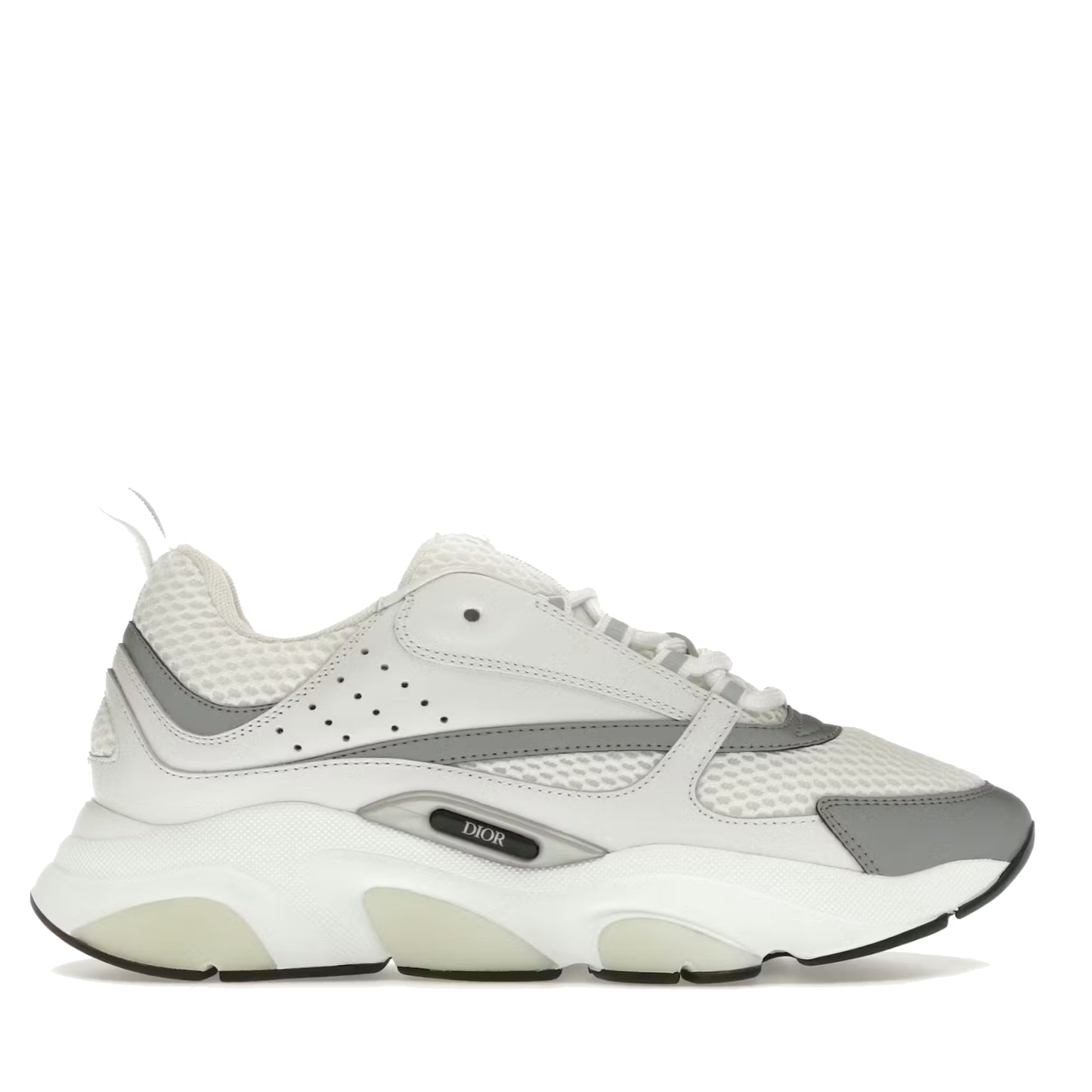 Dior B22 Sneaker White/Silver