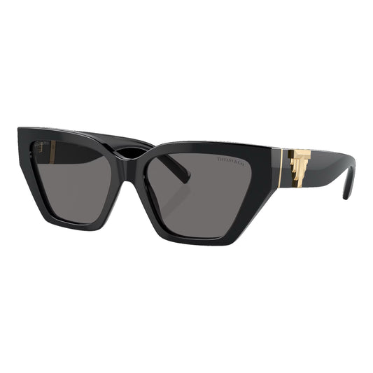Tiffany & Co. Sunglasses Black/Gold (TF4218)