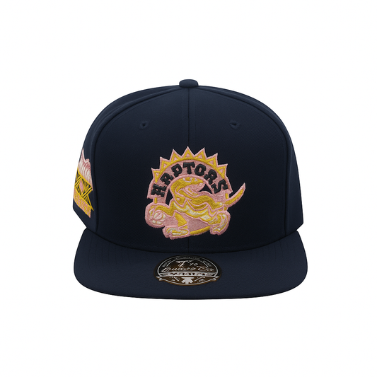 Mitchell & Ness Toronto Raptors Hardwood Classics Dynasty Fitted Hat Black (Size 7 5/8)