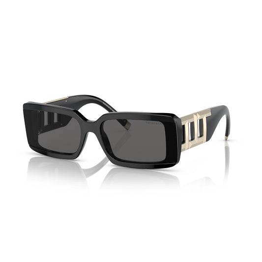 Tiffany & Co. Sunglasses Black/Gold (TF4197)
