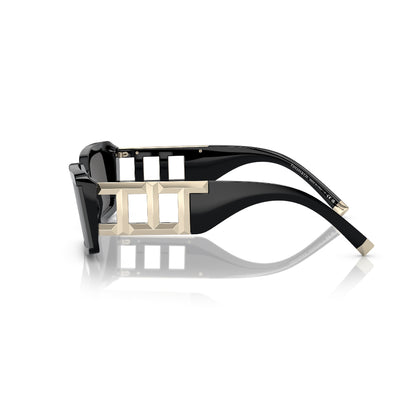 Tiffany & Co. Sunglasses Black/Gold (TF4197)