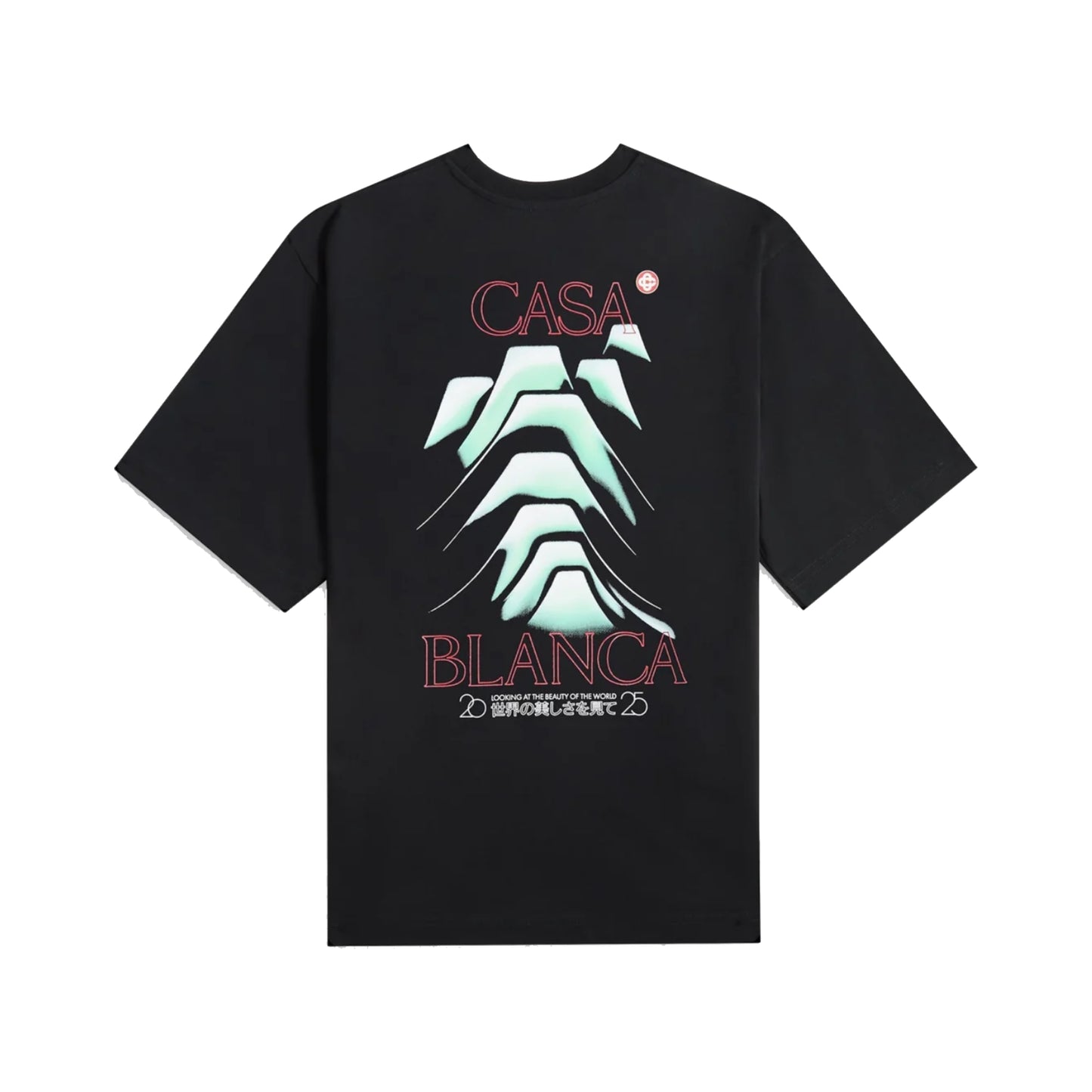 Casablanca Frosty Mountain Oversized T-Shirt