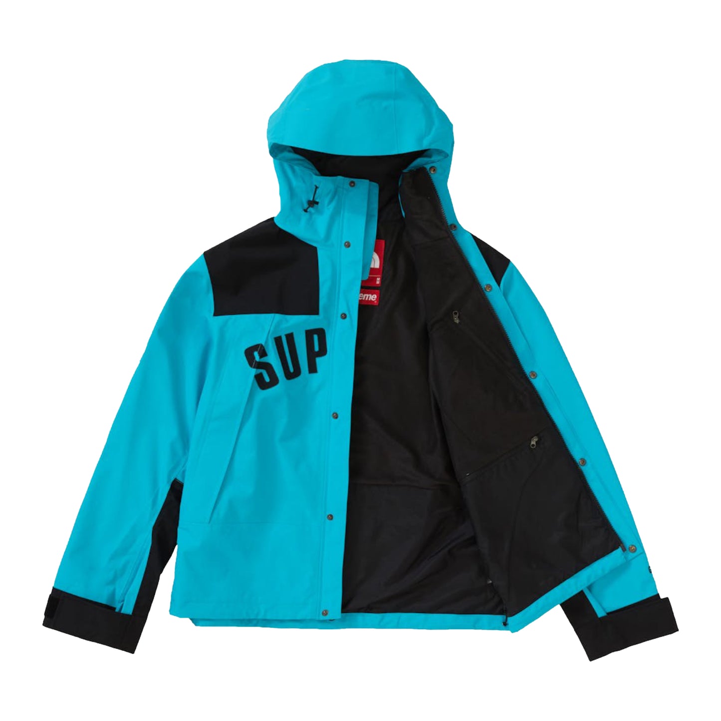 Supreme The North Face Arc Logo Mountain Parka Teal